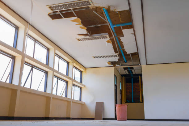 Best Local water damage restoration  in Groveville, NJ