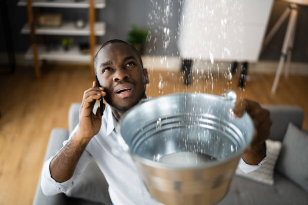 Best Commercial water damage restoration  in Groveville, NJ