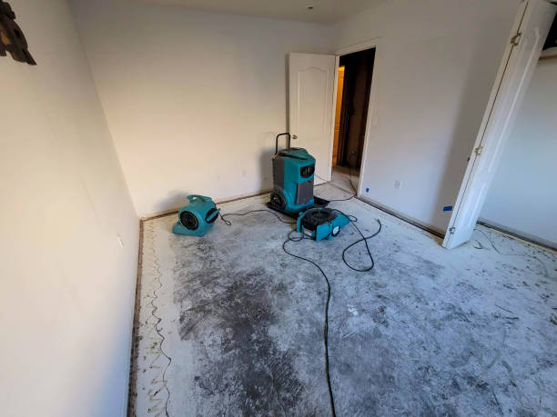 24/7 water damage repair in NJ