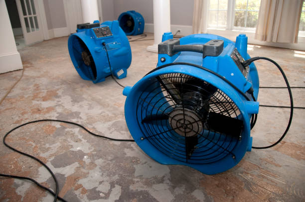 Best Emergency water damage restoration  in Groveville, NJ