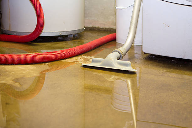 Best 24-hour water damage restoration  in Groveville, NJ